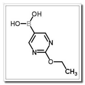 2-乙氧基嘧啶-5-硼酸