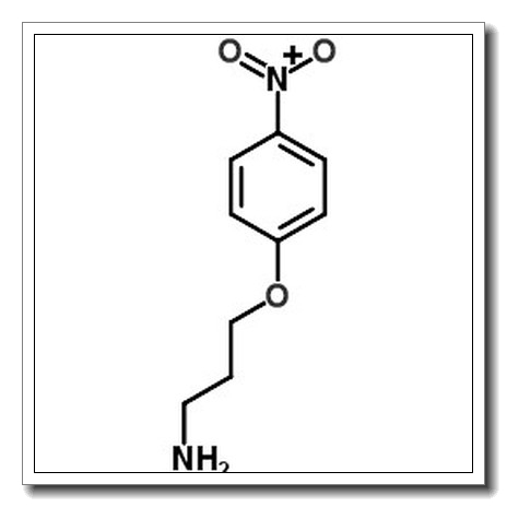 3-(4-nitrophenoxy)propan-1-amine CAS 100841-04-1