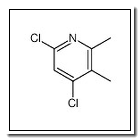 4,6-Dichloro-2,3-dimethylpyridine CAS 101252-84-0