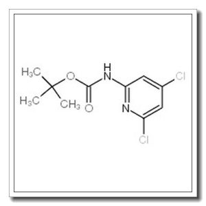 4,6-二氯吡啶-2-氨基甲酸叔丁酯