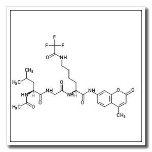 HDAC 抑制剂