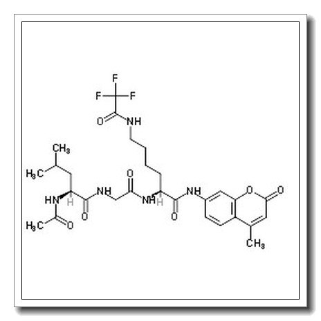 HDAC 抑制剂
