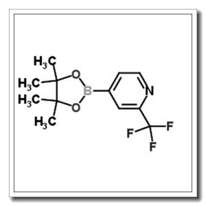 4-(4,4,5,5-四甲基-1,3,2-二氧硼烷)-2-三氟甲基吡啶