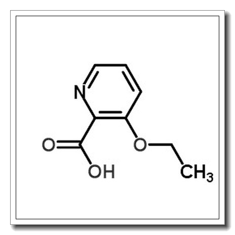 3-Ethoxy-2-pyridinecarboxylic acid CAS 103878-09-7