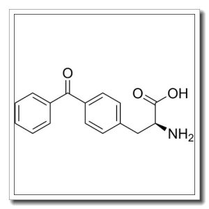 L-对苯甲酰基苯丙氨酸