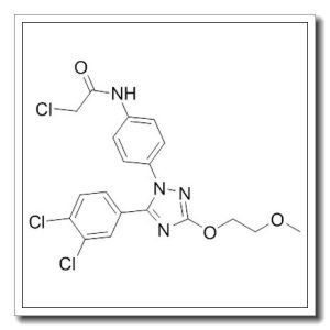2-氯-N-[4-[5-(3,4-二氯苯基)-3-(2-甲氧基乙氧基)-1H-1,2,4-三唑-1-基]苯基]乙酰胺