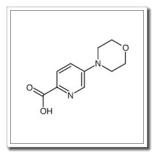(5-吗啉-4-基)吡啶-2-甲酸