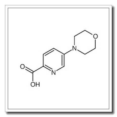 (5-吗啉-4-基)吡啶-2-甲酸