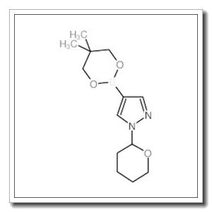 1-(2-四氢吡喃基)-1H-吡唑-4-硼酸新戊二醇酯