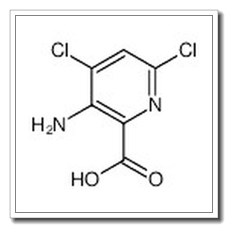 3-amino-4,6-dichloropyridine-2-carboxylic acid