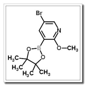 5-溴-2-甲氧基-3-(4,4,5,5-四甲基-1,3,2-二杂氧戊硼烷-2-基)吡啶