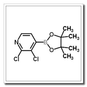2,3-二氯-4-(4,4,5,5-四甲基-1,3,2-二氧杂环戊硼烷-2-基)吡啶