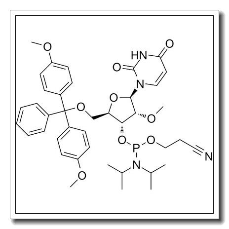 DMT-2′O-Methyl-rU Phosphoramidite CAS 110764-79-9