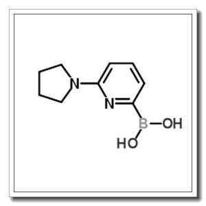 B-[6-(1-吡咯烷)-3-吡啶]硼酸