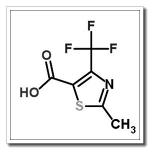 2-甲基-4-三氟甲基-5-噻唑甲酸