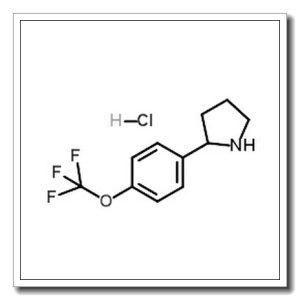2-(4-(三氟甲氧基)苯基)吡咯烷盐酸盐