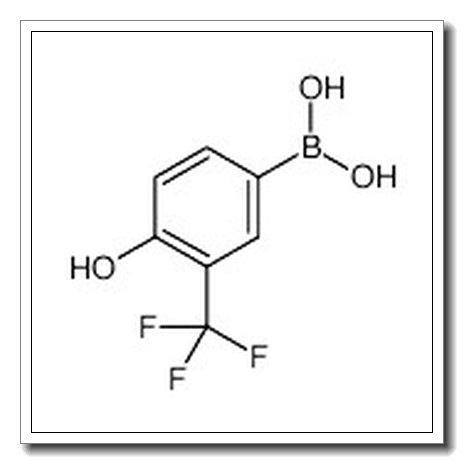 3-三氟甲基-4-羟基苯硼酸