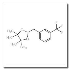 4,4,5,5-四甲基-2-(3-(三氟甲基)苄基)-1,3,2-二噁硼烷