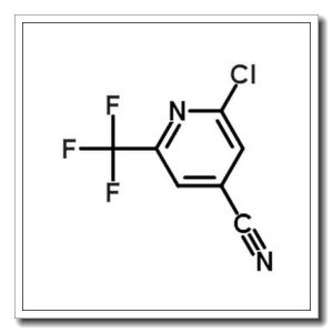 2-氯-6-(三氟甲基)-4-吡啶甲腈