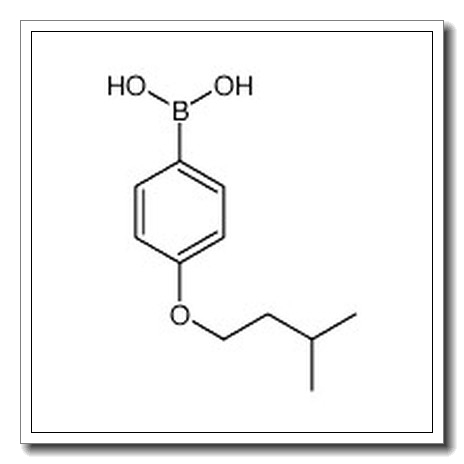 [4-(3-Methylbutoxy)phenyl]boronic acid CAS 1198156-69-2