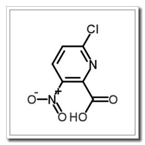 6-氯-3-硝基-2-吡啶羧酸