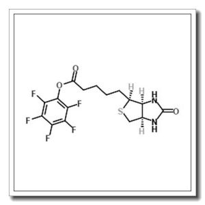 五氟苯酚生物素酯