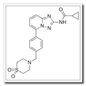 N-[5-[4-[(1,1-二氧代-4-硫代吗啉基)甲基]苯基][1,2,4]三唑并[1,5-A]吡啶-2-基]环丙烷甲酰胺