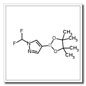 1-(二氟甲基)-4-(4,4,5,5-四甲基-1,3,2-二噁硼烷-2-基)-1H-吡唑