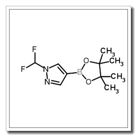 1-(difluoromethyl)-4-(4,4,5,5-tetramethyl-1,3,2-dioxaborolan-2-yl)pyrazole CAS 1206640-82-5
