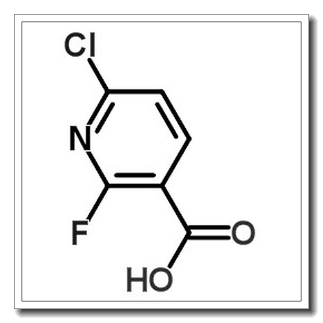 6-氯-2-氟吡啶-3-羧酸