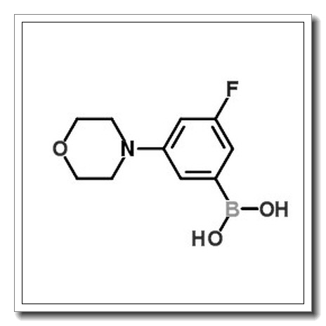 3-氟-5-吗啉苯硼酸