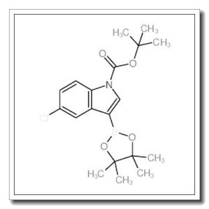 1-BOC-5-氯吲哚-3-硼酸频那醇酯