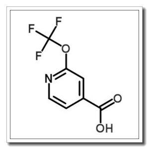2(trifluoromethoxy)isonicotinic acid
