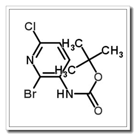 2-溴-6-氯吡啶-3-氨基甲酸叔丁酯