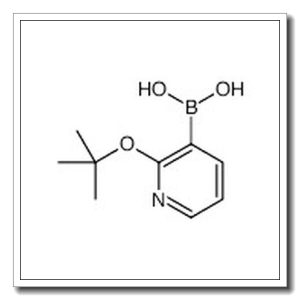 2-叔丁氧基吡啶-3-基硼酸