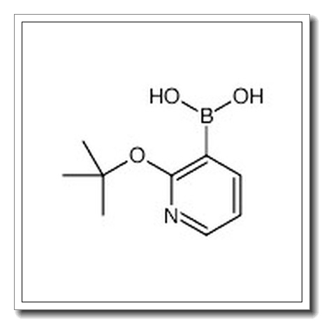 2-叔丁氧基吡啶-3-基硼酸
