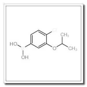 4-氯-3-异丙氧基苯硼酸