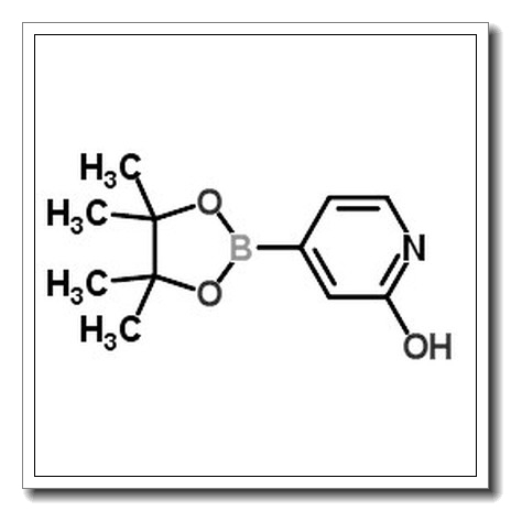 4-(4,4,5,5-Tetramethyl-1,3,2-dioxaborolan-2-yl)pyridin-2(1H)-one CAS 1256358-90-3