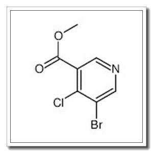 5-溴-4-氯硝基烟酸甲酯