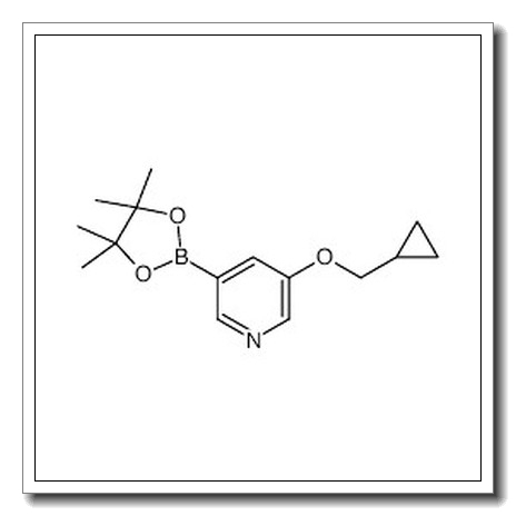 3-(cyclopropylmethoxy)-5-(4,4,5,5-tetramethyl-1,3,2-dioxaborolan-2-yl)pyridine CAS 1257553-87-9