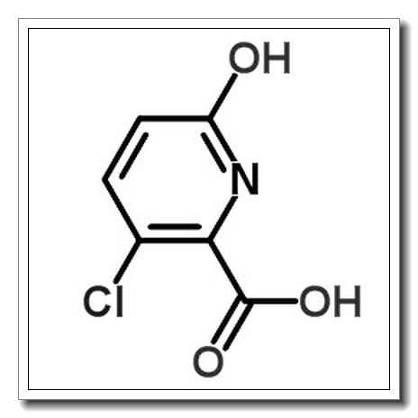 3-chloro-6-oxo-1H-pyridine-2-carboxylic acid CAS 1263280-37-0