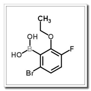 6-溴-2-乙氧基-3-氟苯硼酸