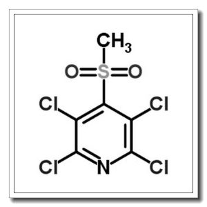 2,3,5,6-四氯-4-(甲磺酰)吡啶