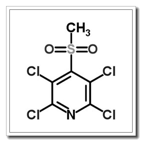 2,3,5,6-四氯-4-(甲磺酰)吡啶