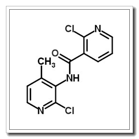 2-氯-N-(2-氯-4-甲基吡啶-3-基)烟酰胺