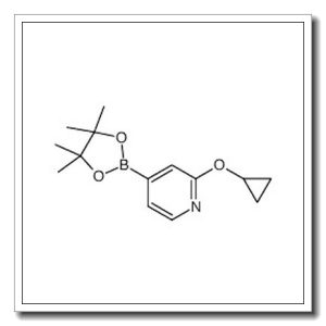 2-cyclopropyloxy-4-(4,4,5,5-tetramethyl-1,3,2-dioxaborolan-2-yl)pyridine