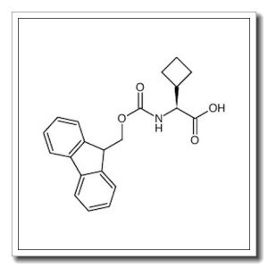 (S)-N-Fmoc-2-氨基-2-环丁基乙酸