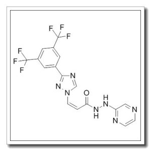 Selinexor