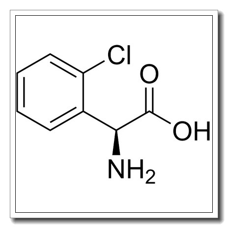 (S)-2-氯苯甘氨酸