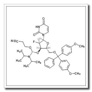 5′-O-(4,4-二甲氧基三苯甲基)-2′-脱氧-2′-氟尿苷-3′-(2-氰基乙基-N,N-二异丙基)亚磷酰胺